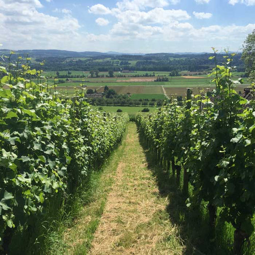 Thurgau