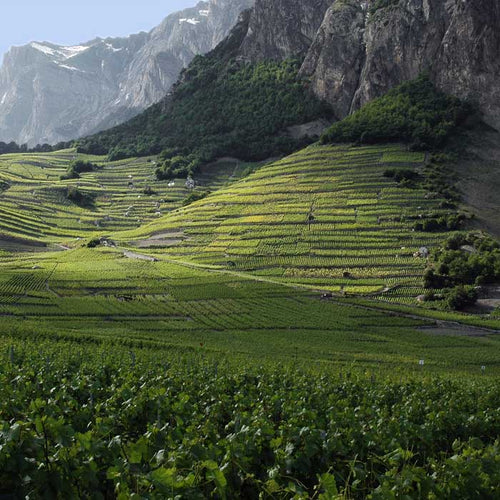 Wallis
