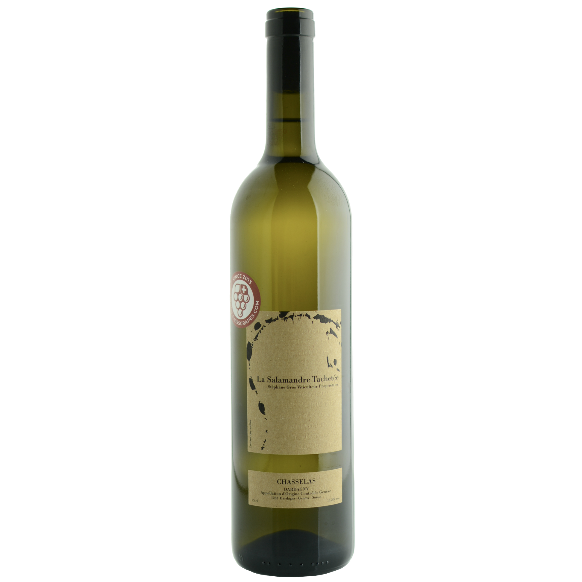 LA SALAMANDRE TACHETÉE CHASSELAS